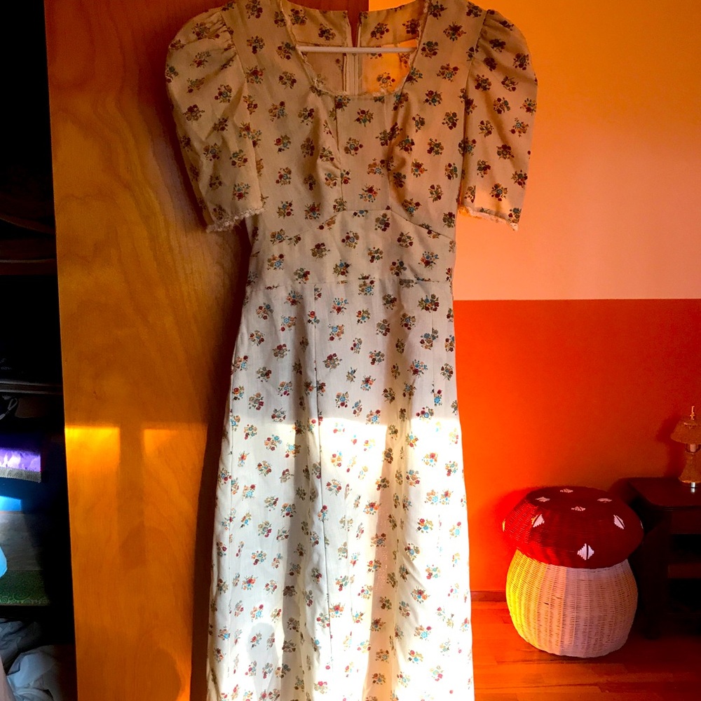 Vintage 70s Cottage core floral dress